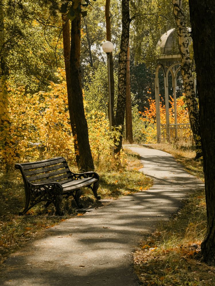 Фотография автора Анастасия Терехова