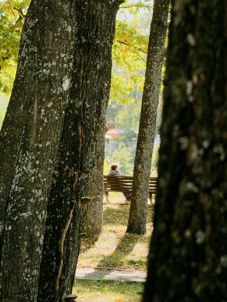 Фотография автора Анастасия Терехова