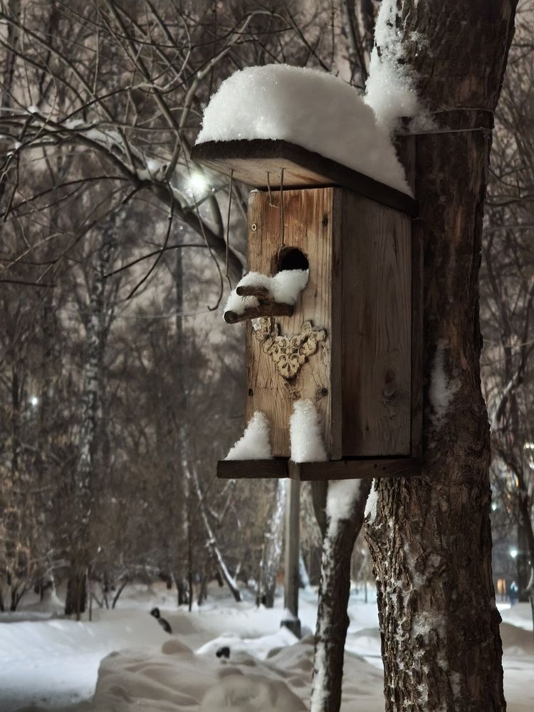 Photograph by Olena Chertous