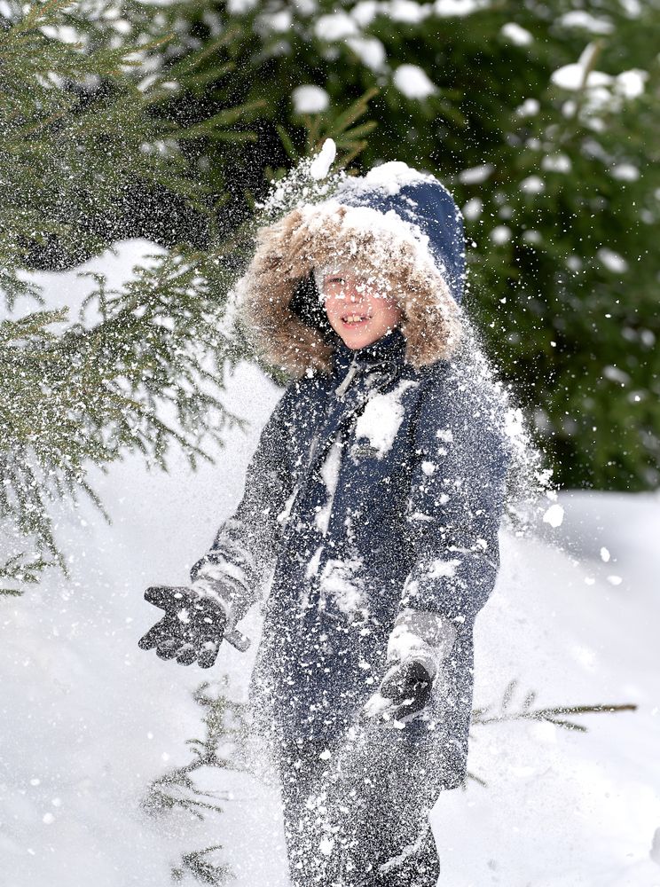 Фотография автора Андрей Некрашевич