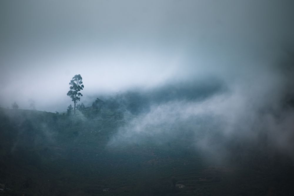 Photograph by Amith Anuradha