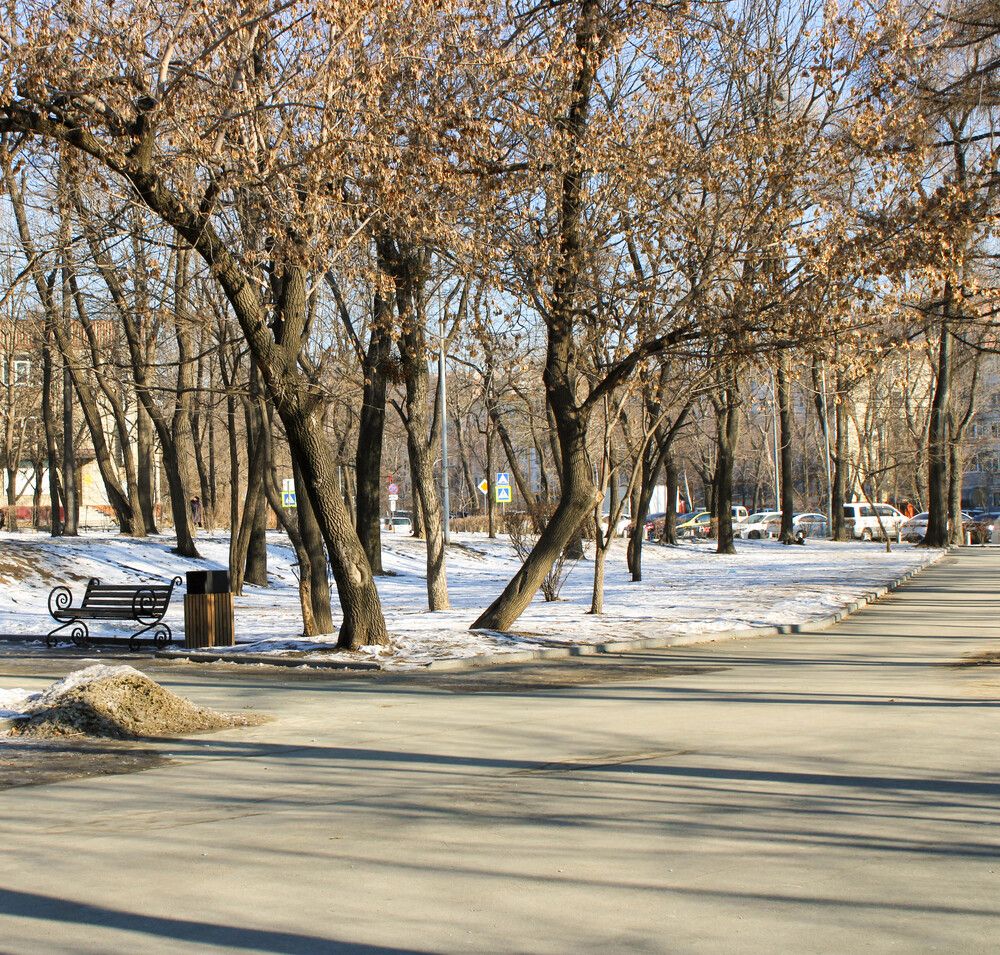 Фотография автора Любовь Малкина