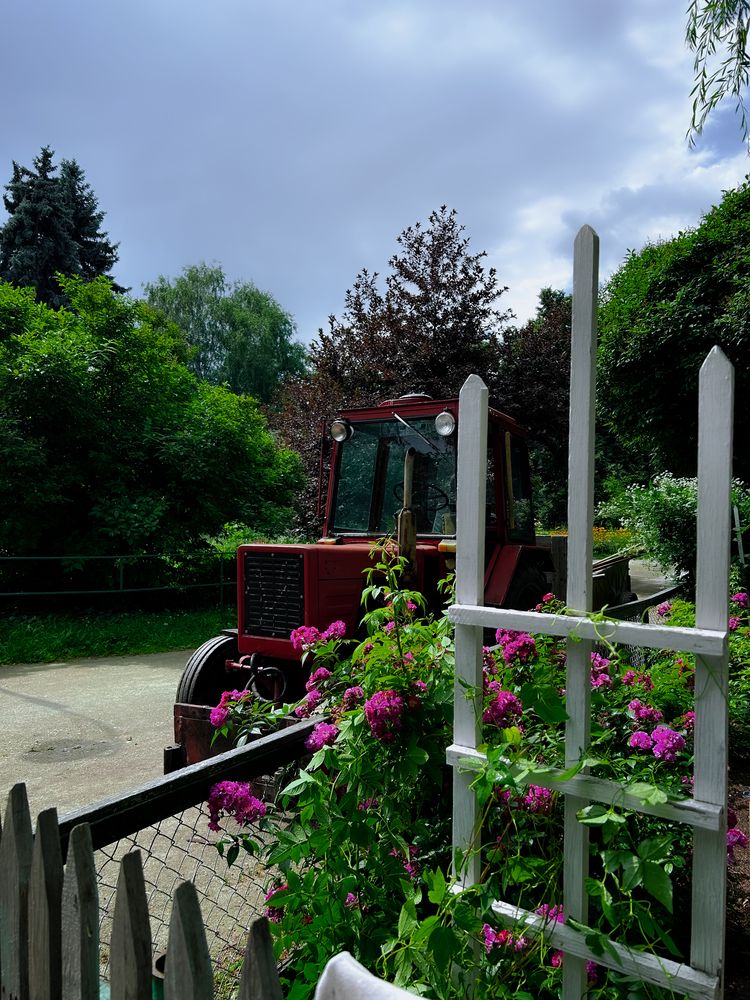 Photograph by Константин Шипицын