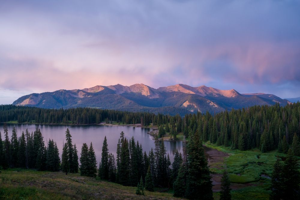 Photograph by B. Samelson