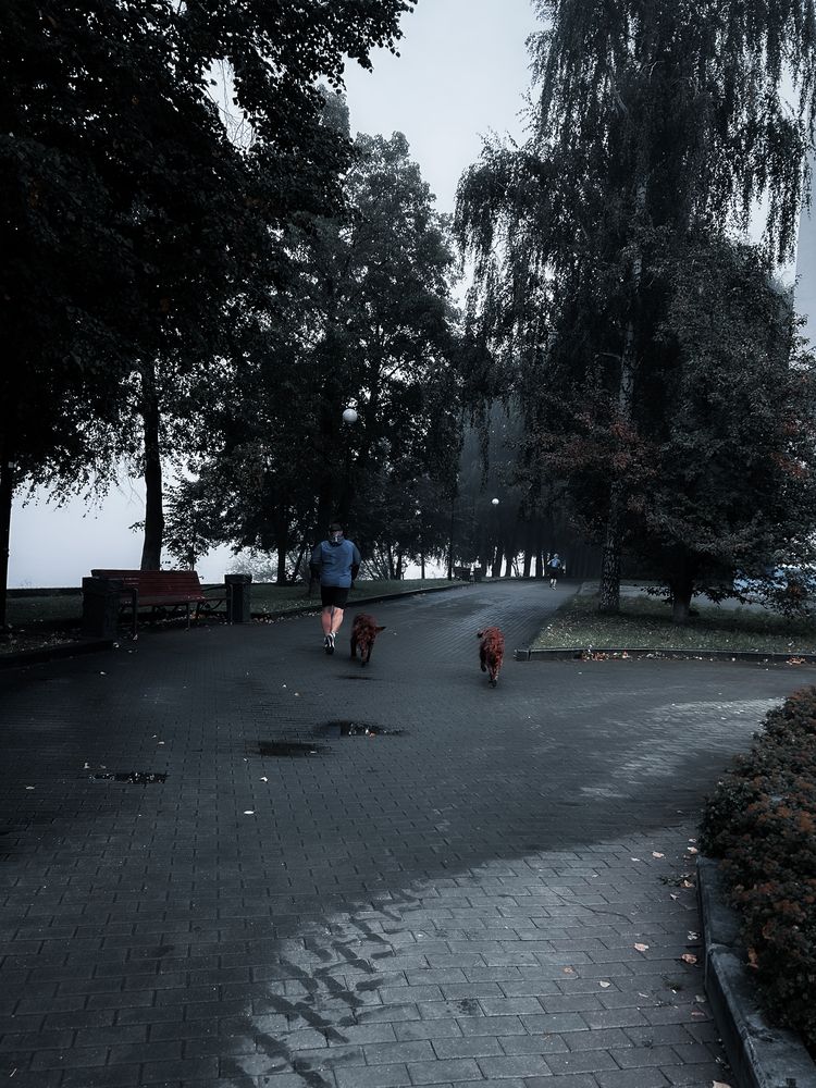 Photograph by Константин Шипицын