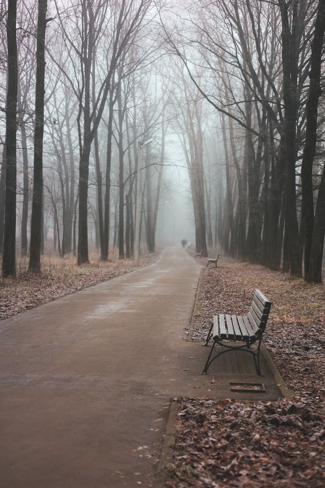 Photograph by Марина Безденежных