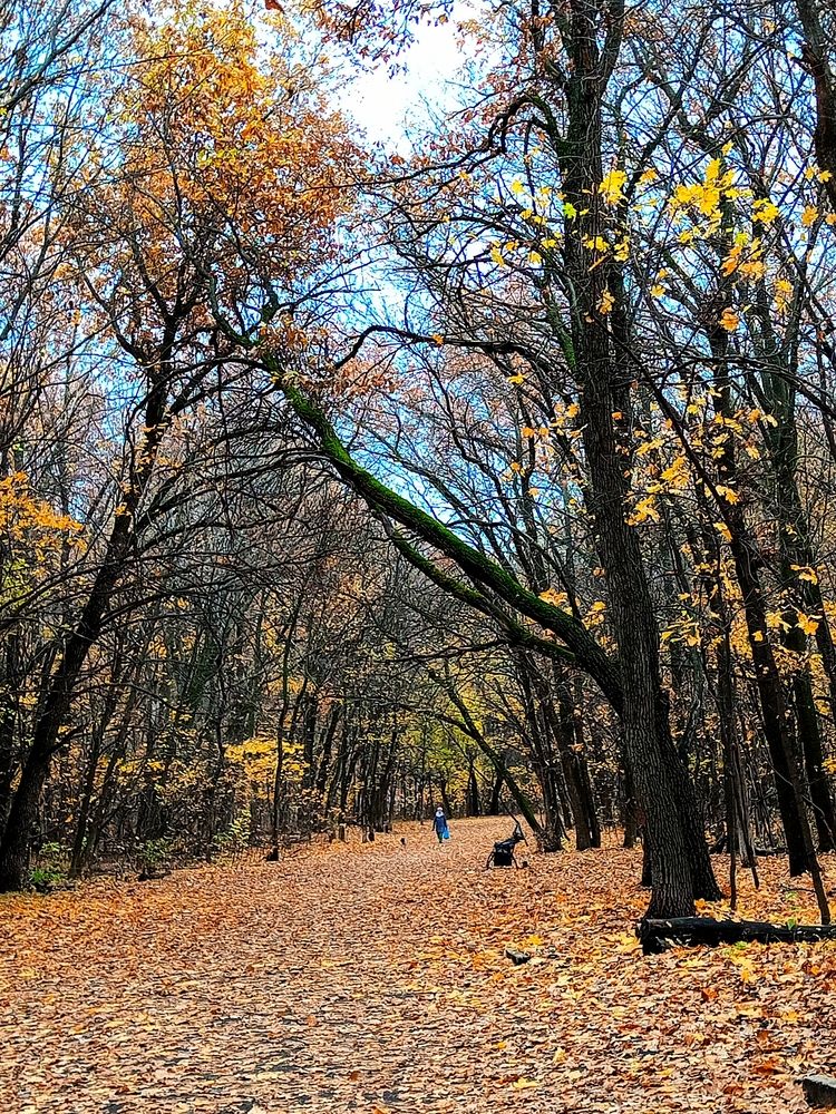 Осенний парк