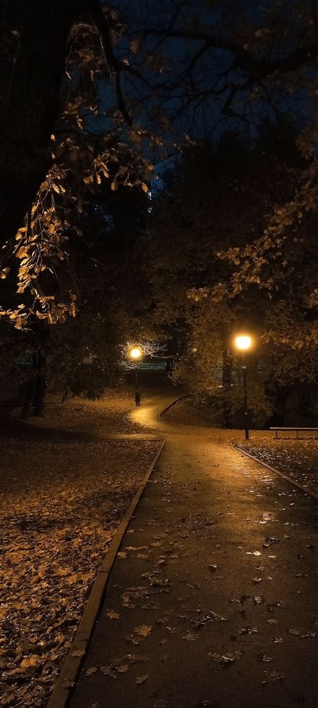 Осенний вечер в парке