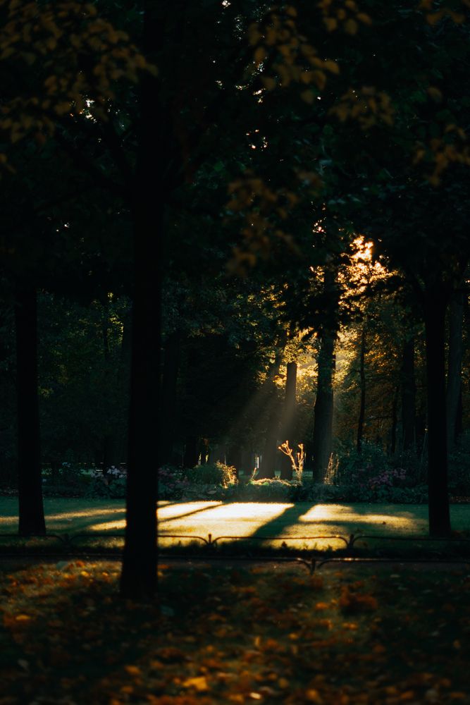 Photograph by Иван Кривоносов