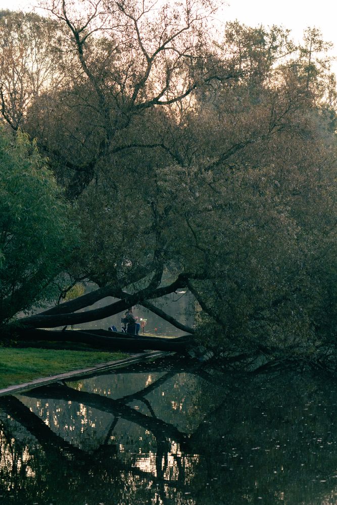 Photograph by Иван Кривоносов