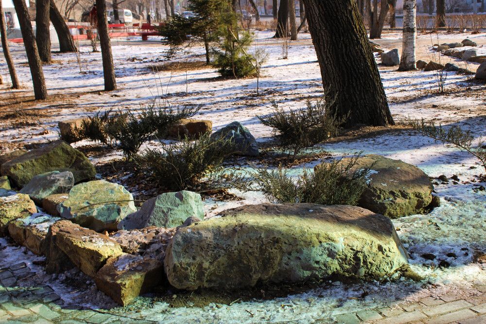 Фотография автора Любовь Малкина