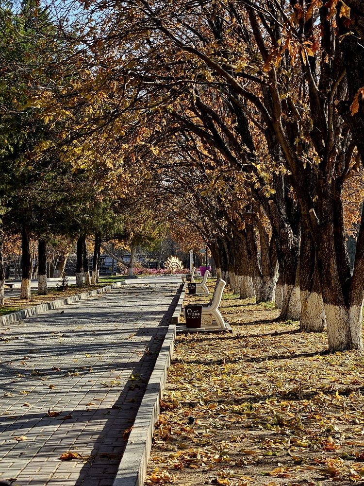 Photograph by Alena Redko