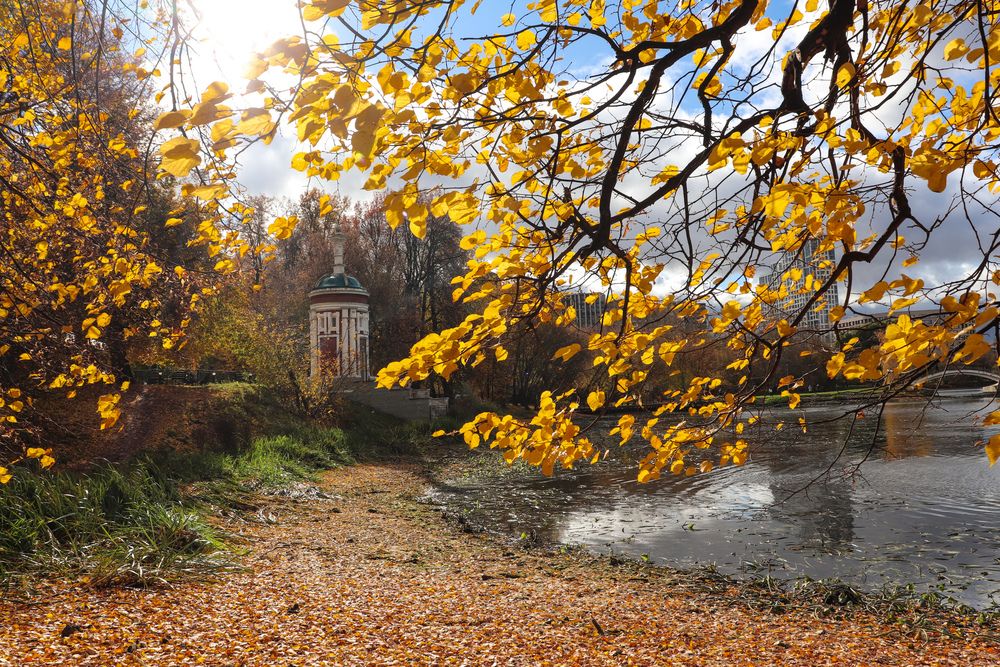 Photograph by Алла Никушкина