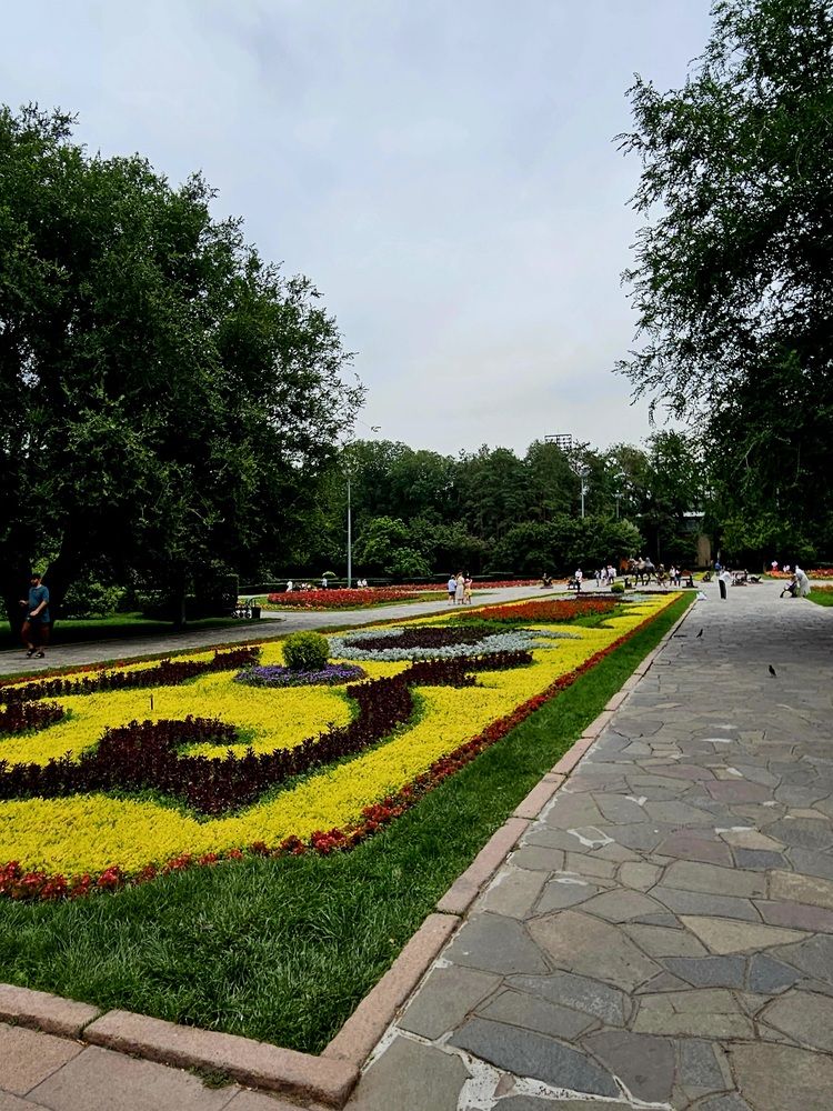 Photograph by Alena Redko