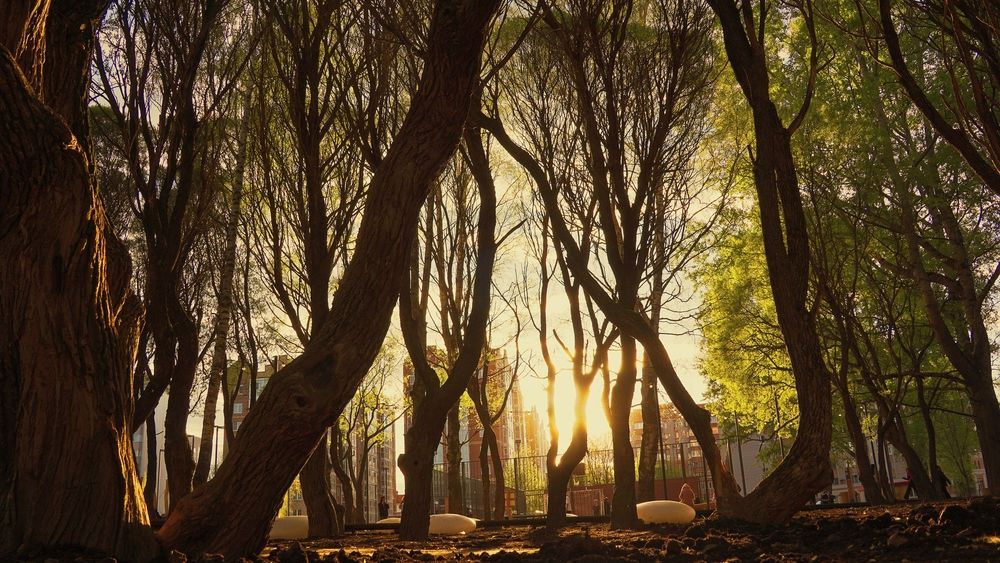 Photograph by Александр Климов