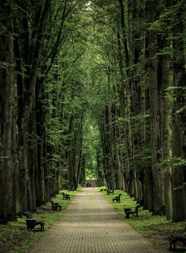 Photograph by Инна Невар