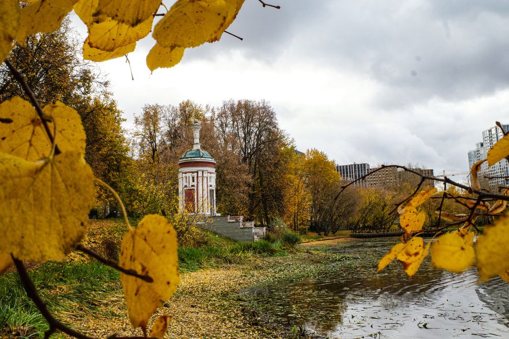 Photograph by Алла Никушкина