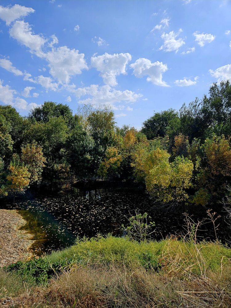 Photograph by Alena Redko