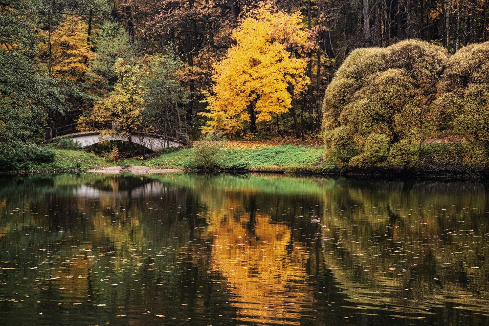 Photograph by Алла Никушкина