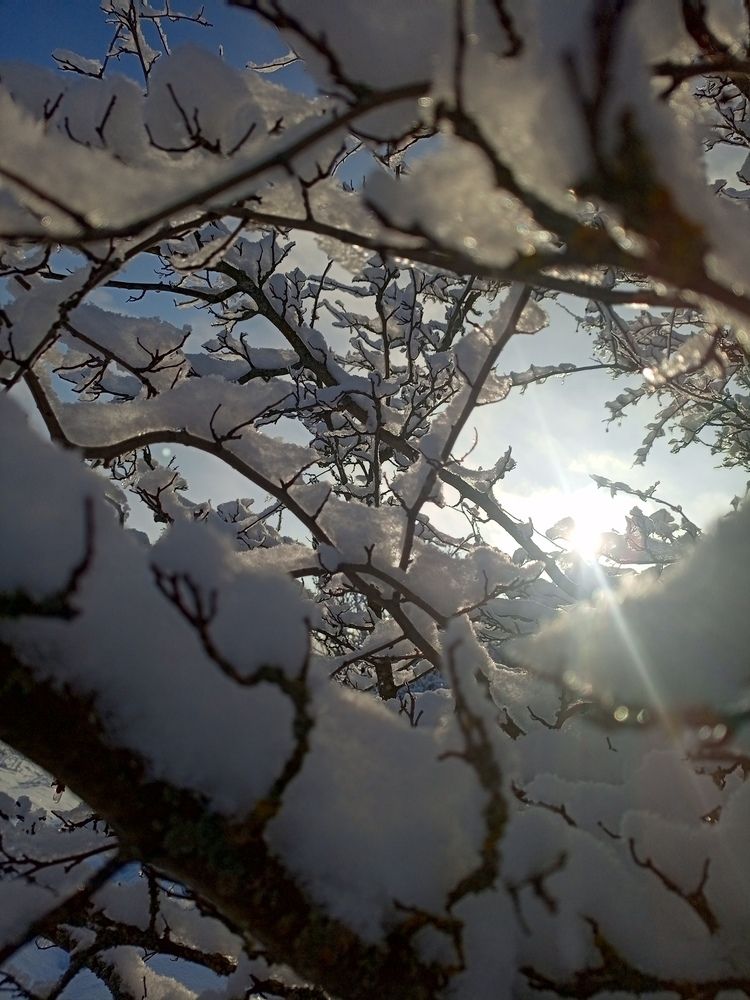Photograph by НАТАЛЬЯ