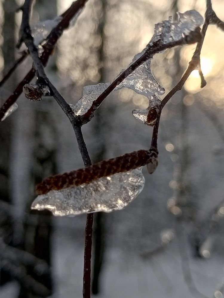 Photograph by НАТАЛЬЯ