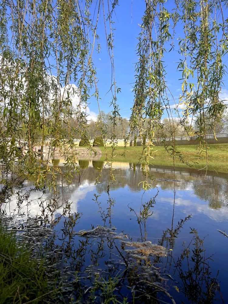 Фотография автора Виталий Иванов