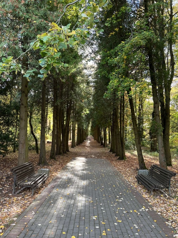 Фотография автора Виталий Иванов