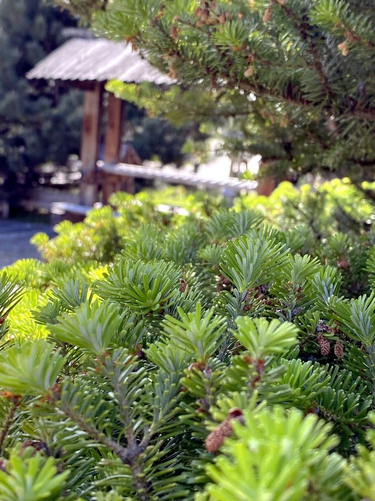 Фотография автора Виталий Иванов