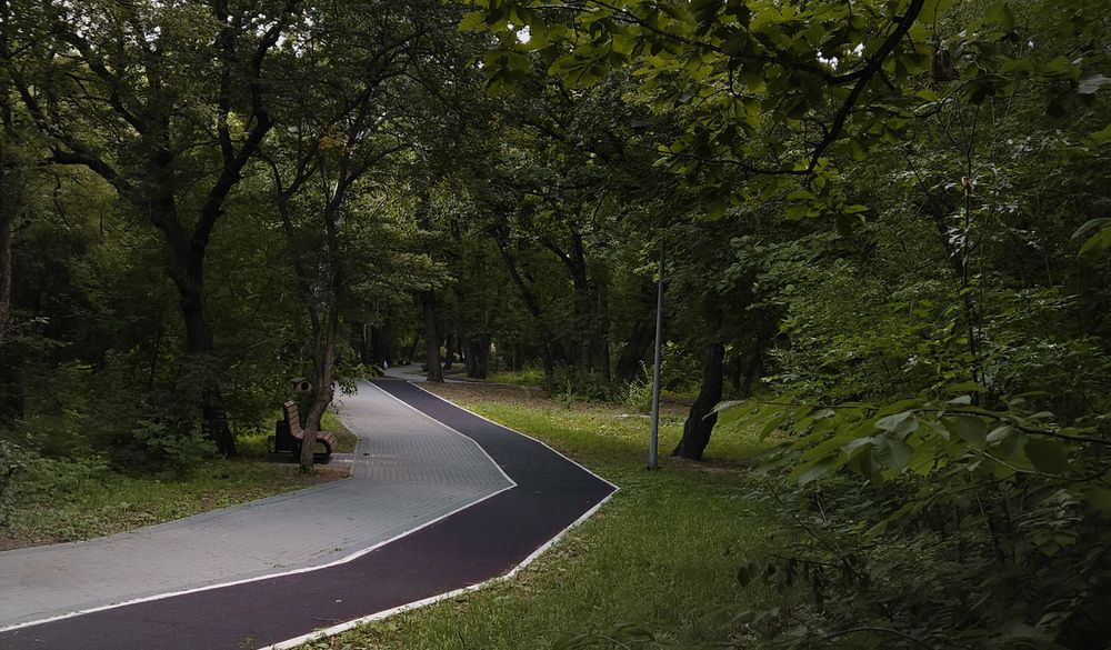 Photograph by Кристина Присяжная