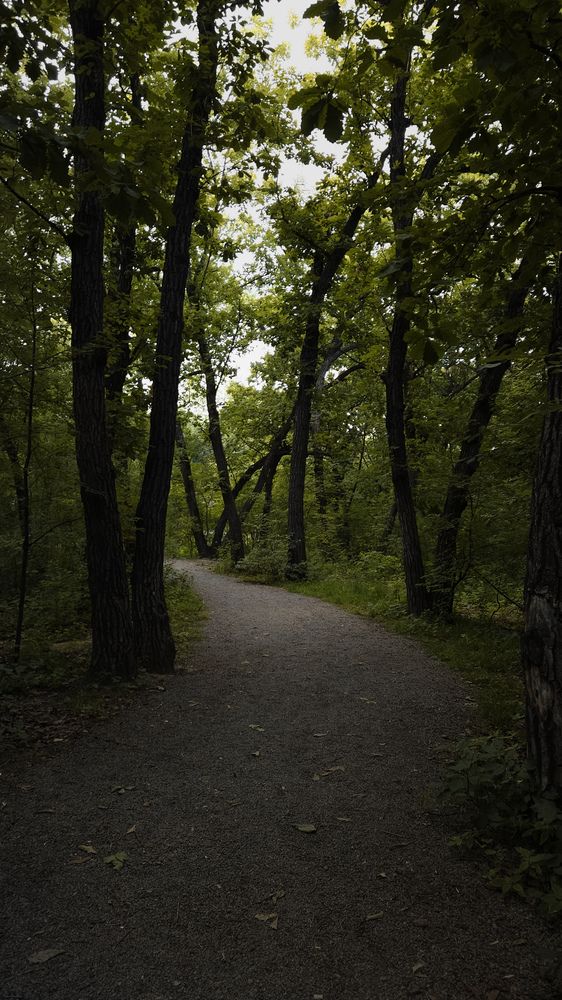 Photograph by Кристина Присяжная