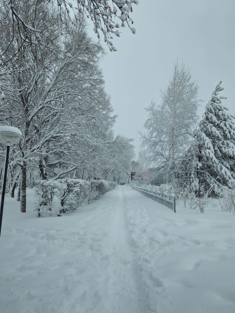 Photograph by Кристина Присяжная