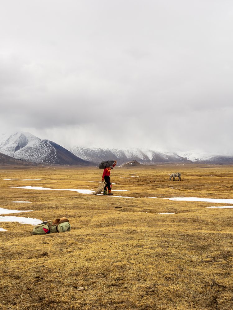 The silence of the Mongolian Altai mountains.