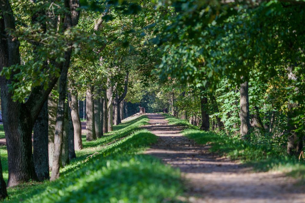 Фотография автора Viktoriya Kim