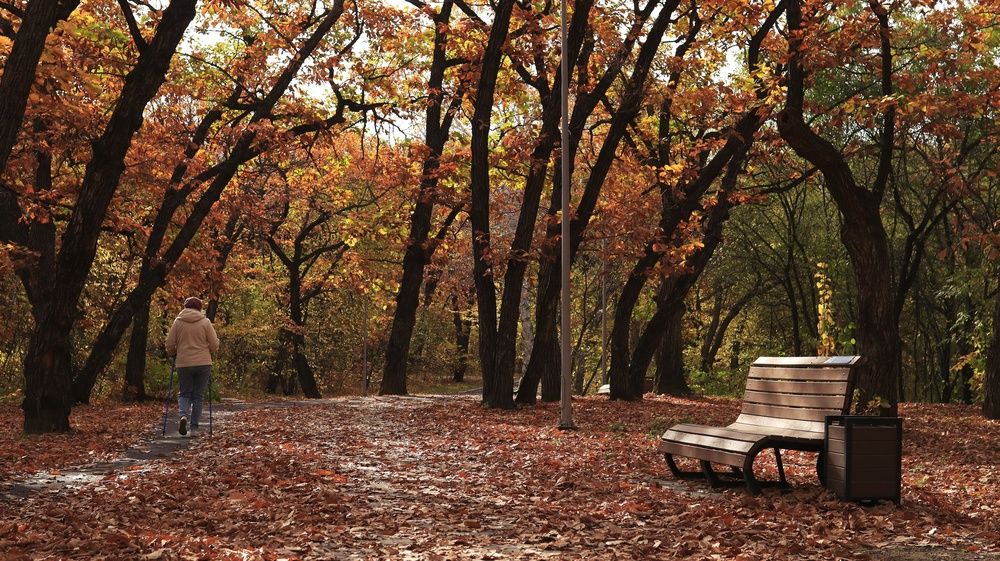 Photograph by Сергей