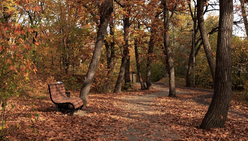 Photograph by Сергей