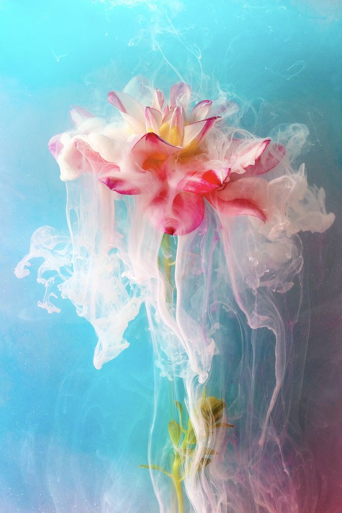 Фотография автора Ivanova Inga