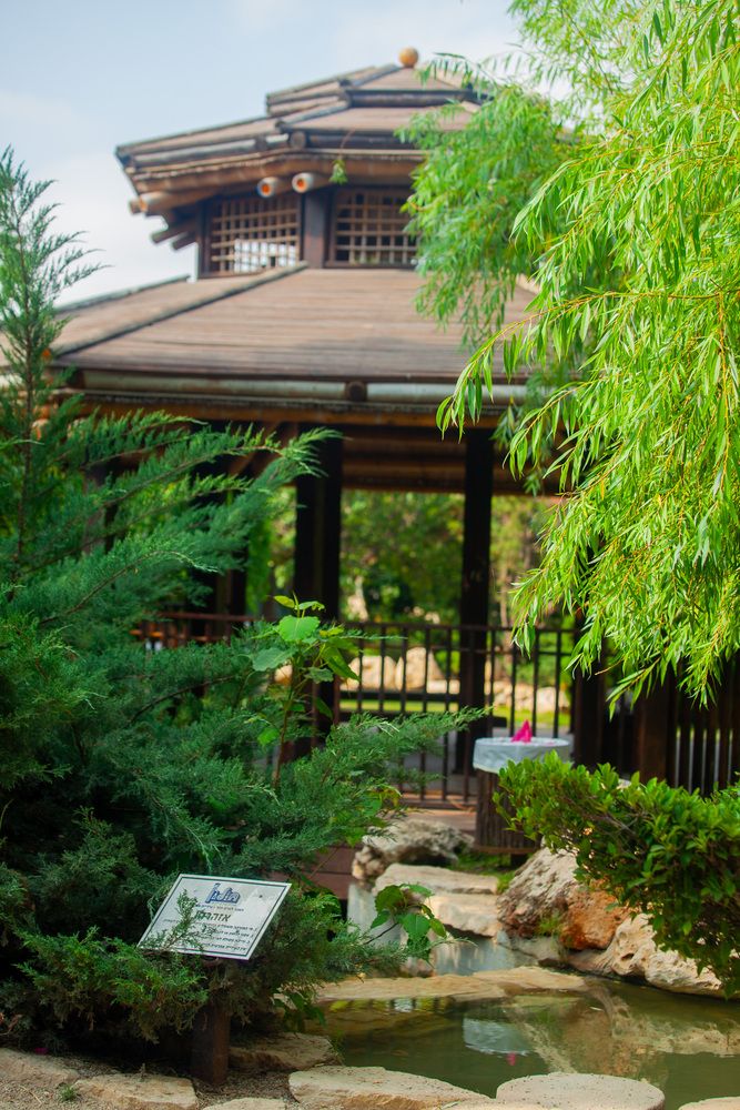 Photograph by Lada Tregubov