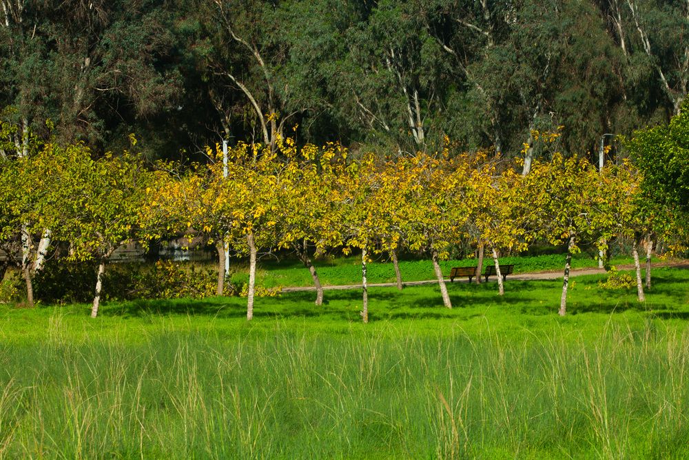 Photograph by Lada Tregubov