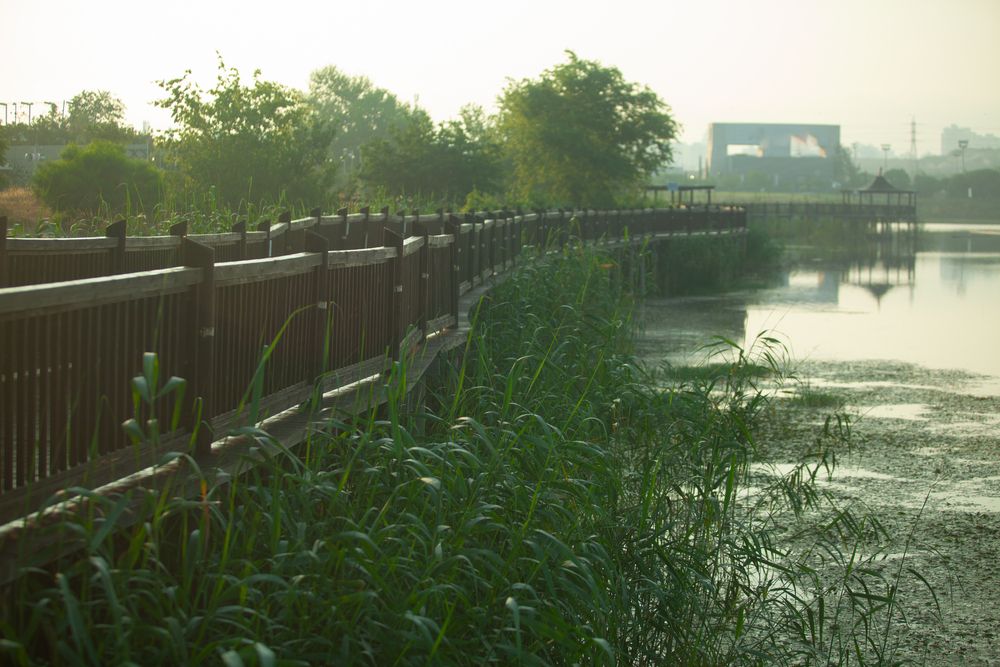 Photograph by Lada Tregubov