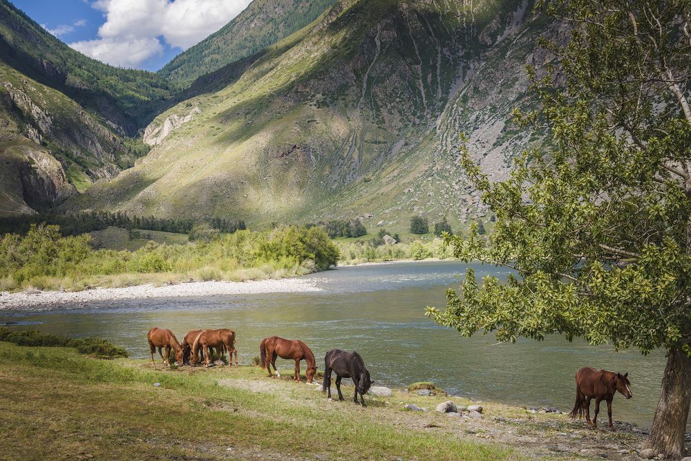 Photograph by Алексей Козлов