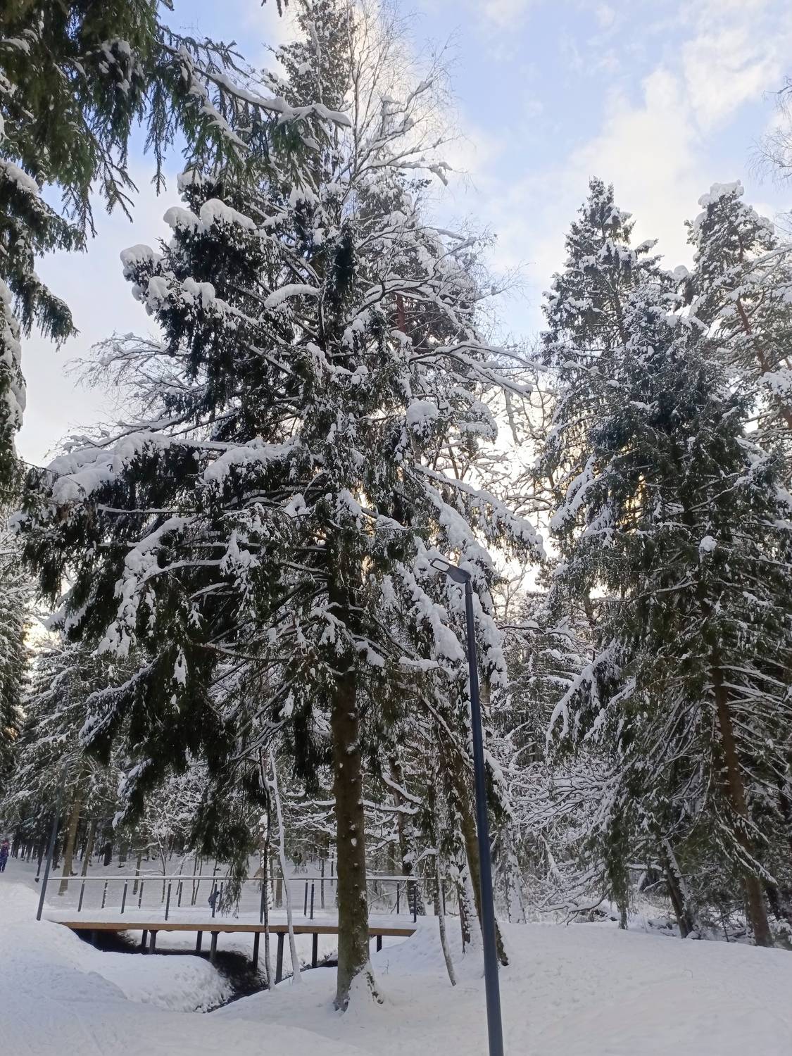 Photo #13042582
