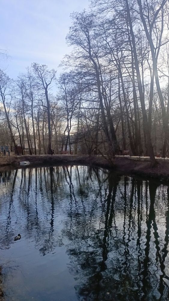 Photo #13042583