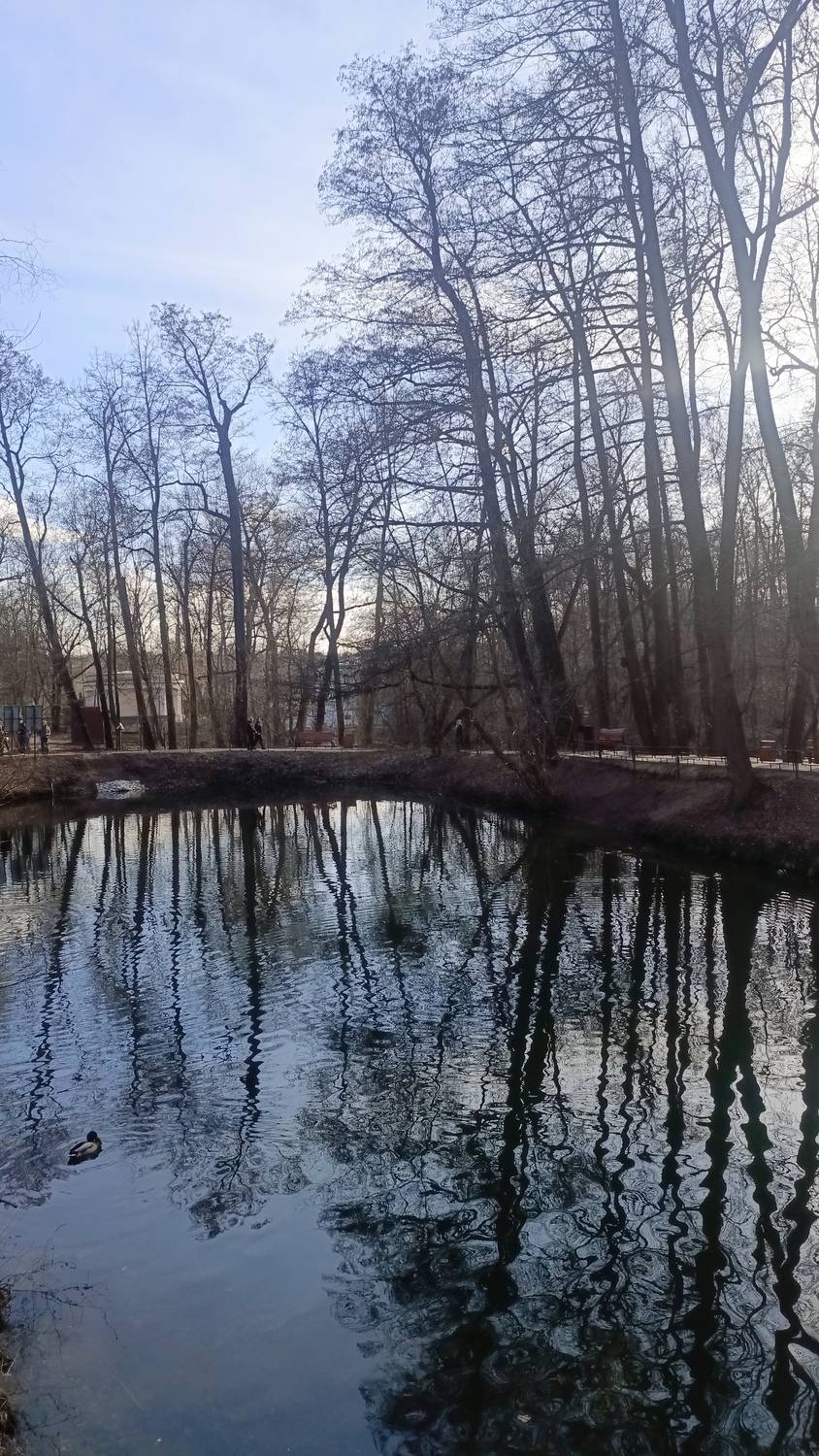 Photo #13042583