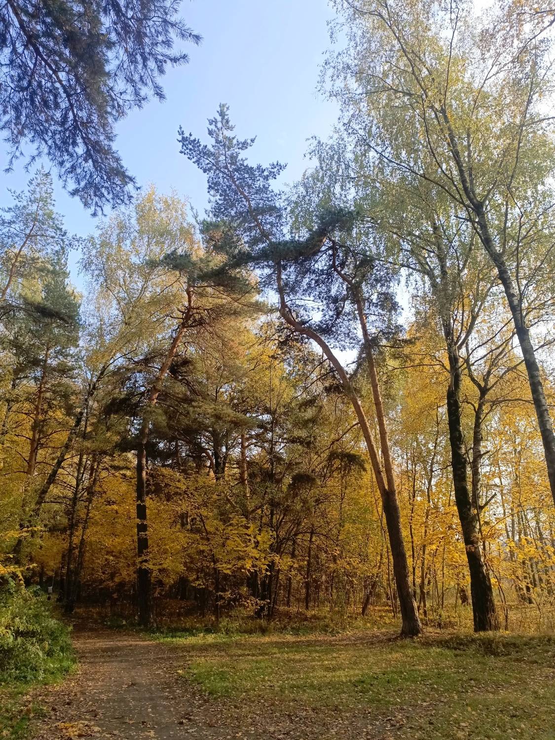 Photo #13042585