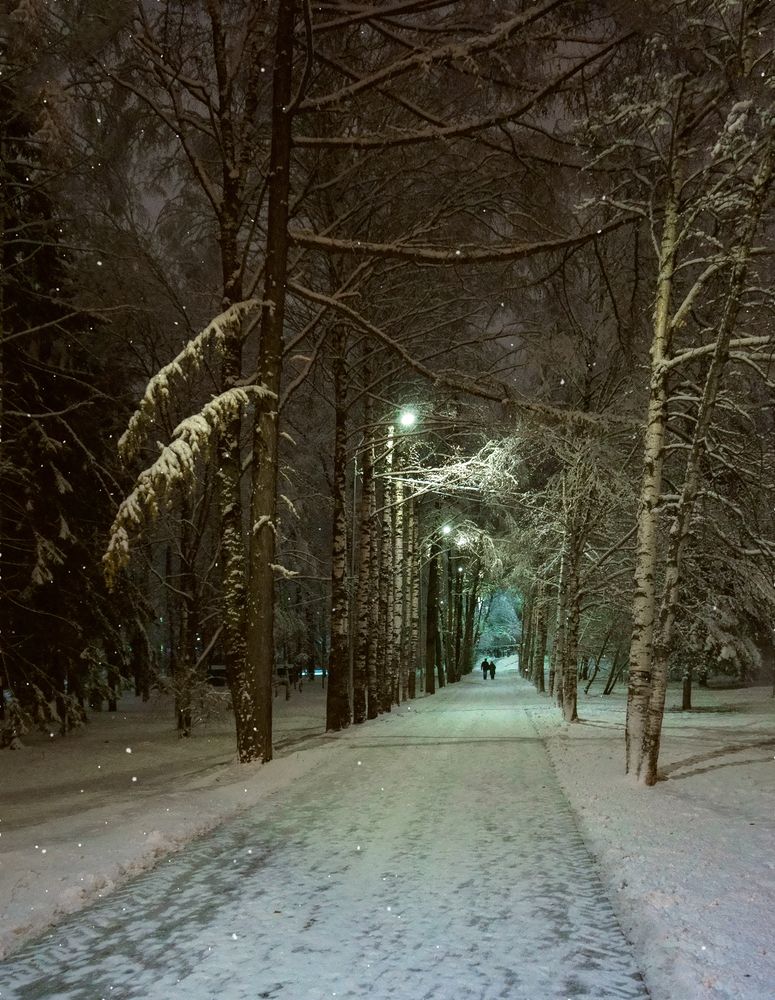 Photograph by Светлана Иванова