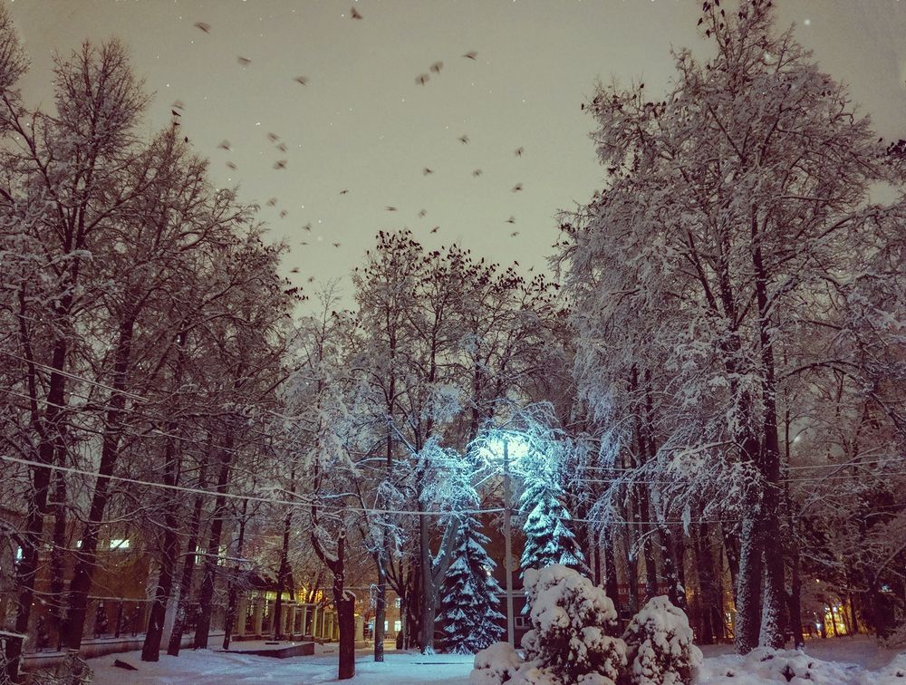 Photograph by Светлана Иванова