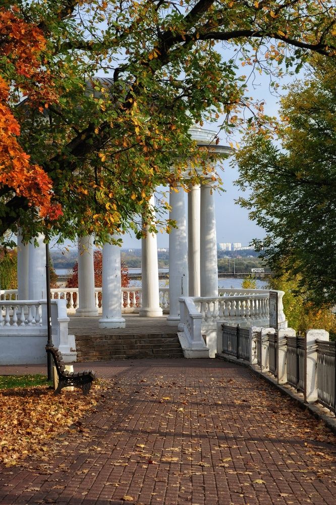 Фотография автора Тамара Караваева