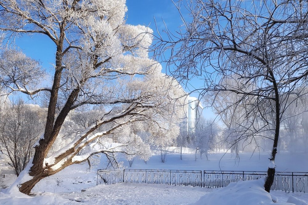 Photograph by Тамара Караваева