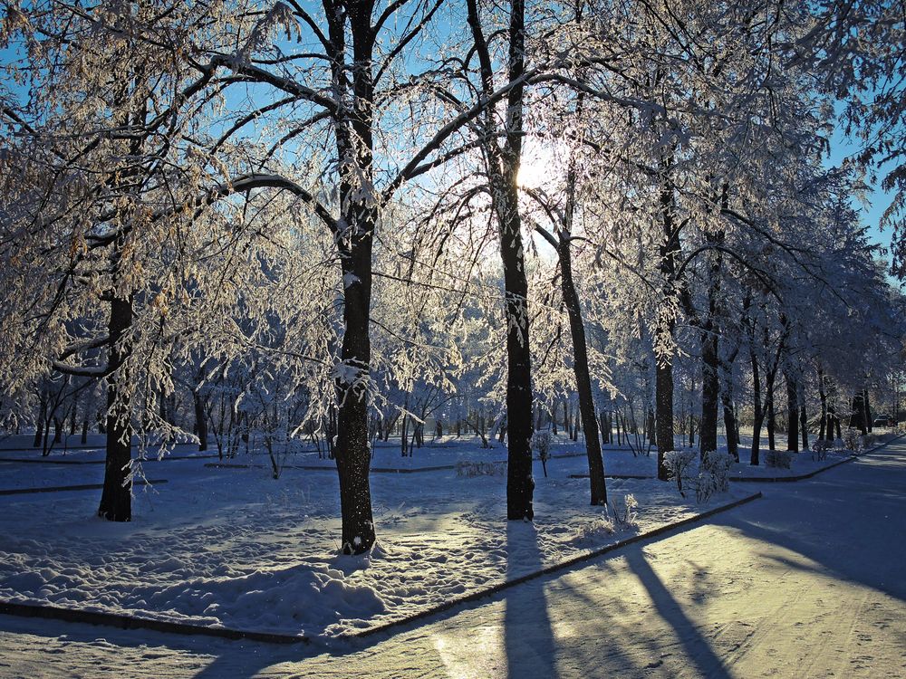 Самара. Загородный парк.