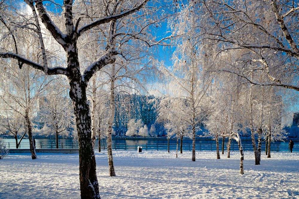 Photograph by Владимир Говоров